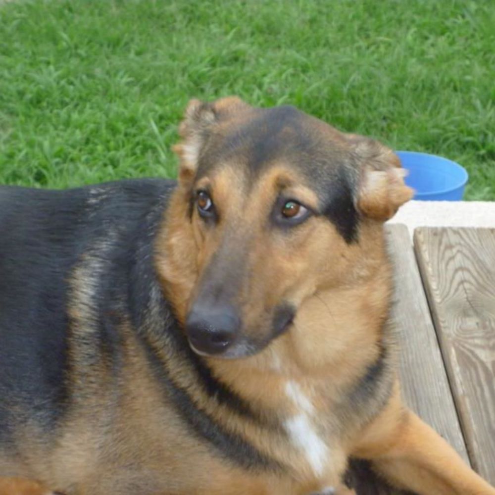 Meet your Posher, Gina